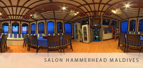 Salon Hammerhead Malediven