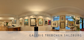 Galerie Trebchen Salzburg Panoramafotografie